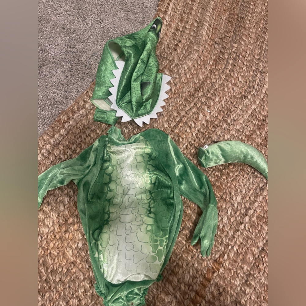 Rex costume baby